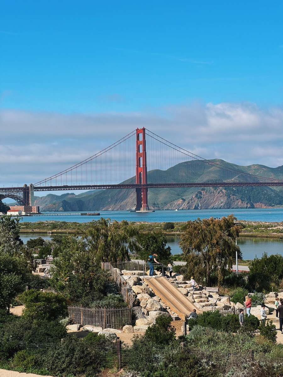 SF Presidio https://t.co/omKrhbEf8B