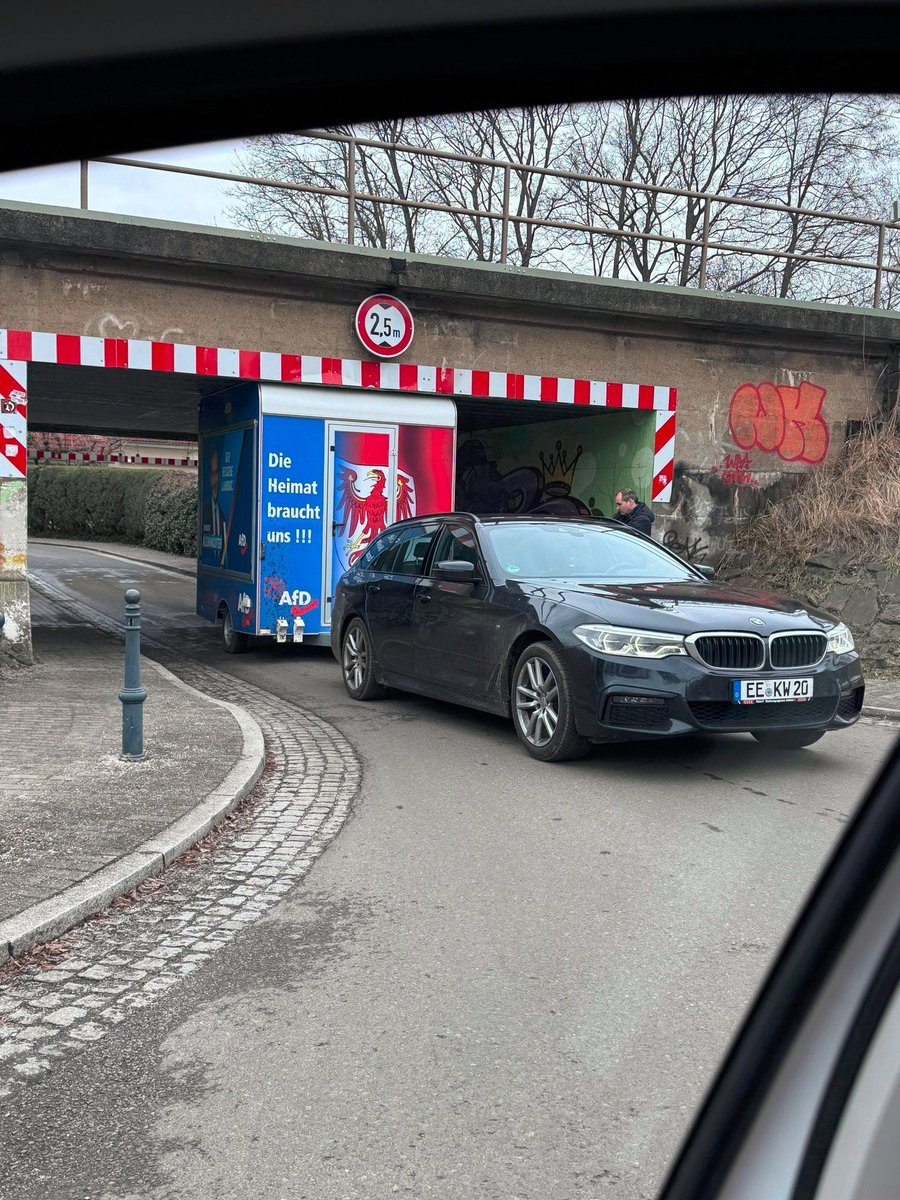 Georgine Kellermann she/her 💃🏳️⚧️🏳️🌈 tweet media