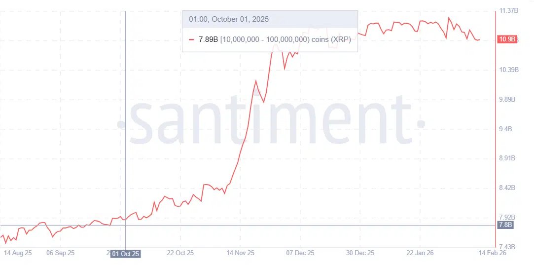 $XRP Has Dropped 50% Since Q4 2025, but Whales Have Amassed 3,000,000,000 Tokens Within This Period. #Ripple