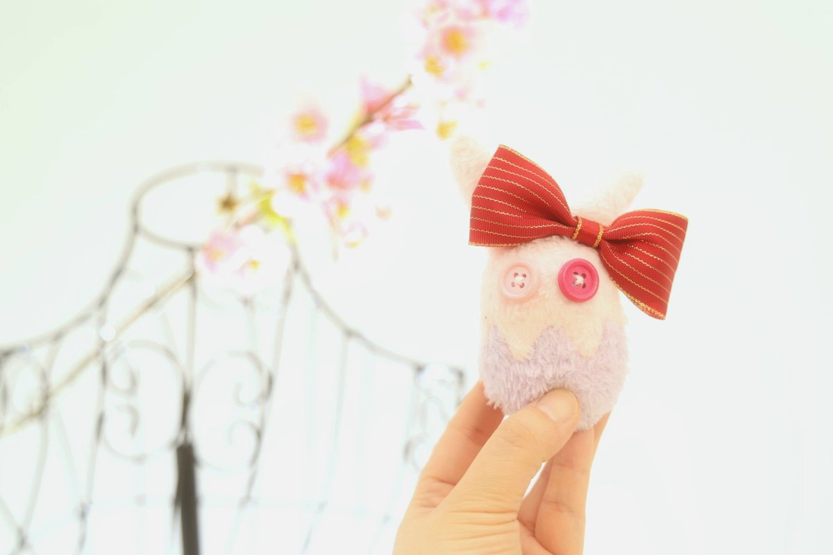 おまめ景丸 tweet media