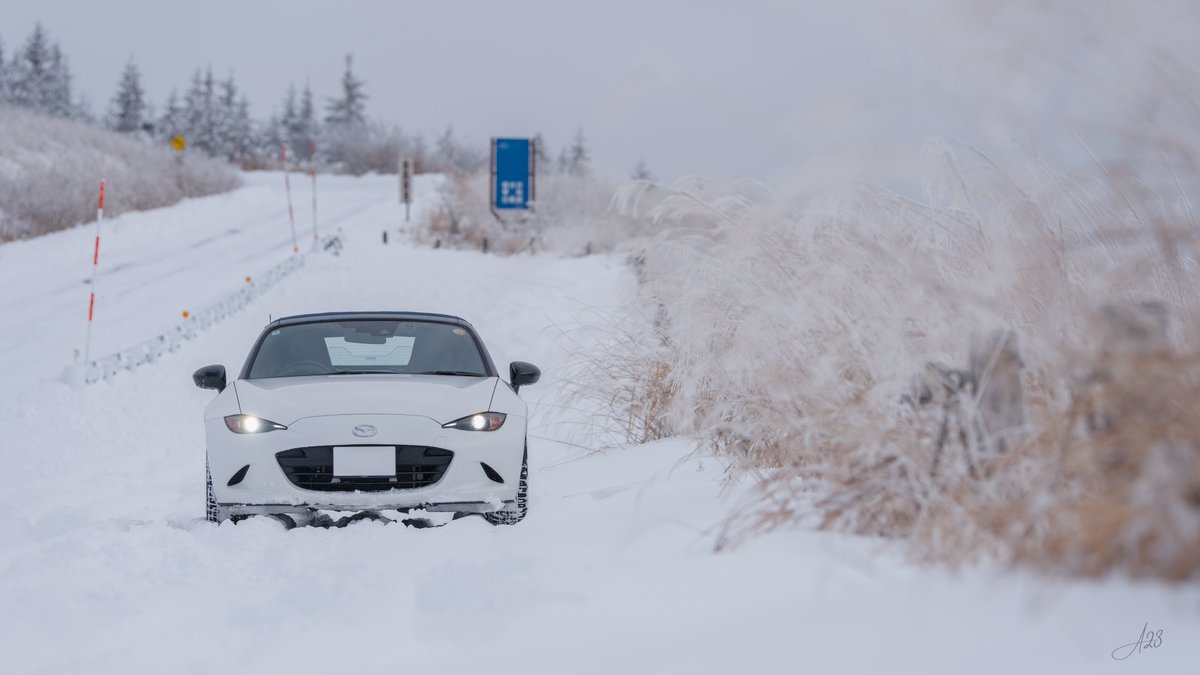 雪フォトを16:9にしてみた。ええやんええやん