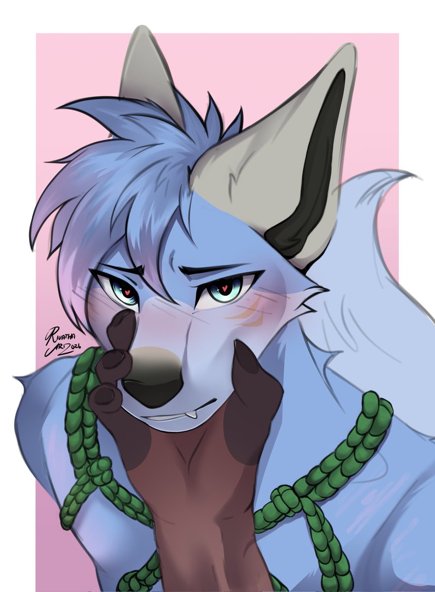 Azule 🔜 FWA tweet media