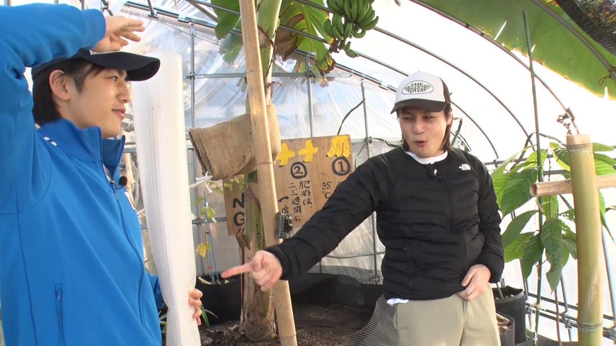 うずらちゃん (@sJEMLK3X43DFCnB) / Posts / X