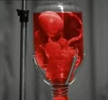 ✡🌍🐰👁⏰ 

KURT COBAIN 

Avete mai notato che nel video dei Nirvana, "Heart Shaped Box", appare un uomo in un letto d'ospedale, con un feto nella sacca di siero?

🍷 #Adrenocrome:  Kurt Kobain, sapeva del culto satanico dell'élite oligarchica parassitaria illuminati che governa