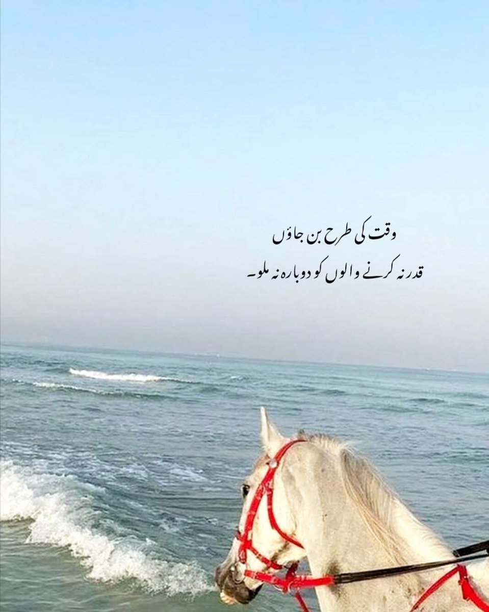 𝗔𝗿𝘀𝗵𝗱 𝗠𝗹𝗶𝗸💫👑 tweet media