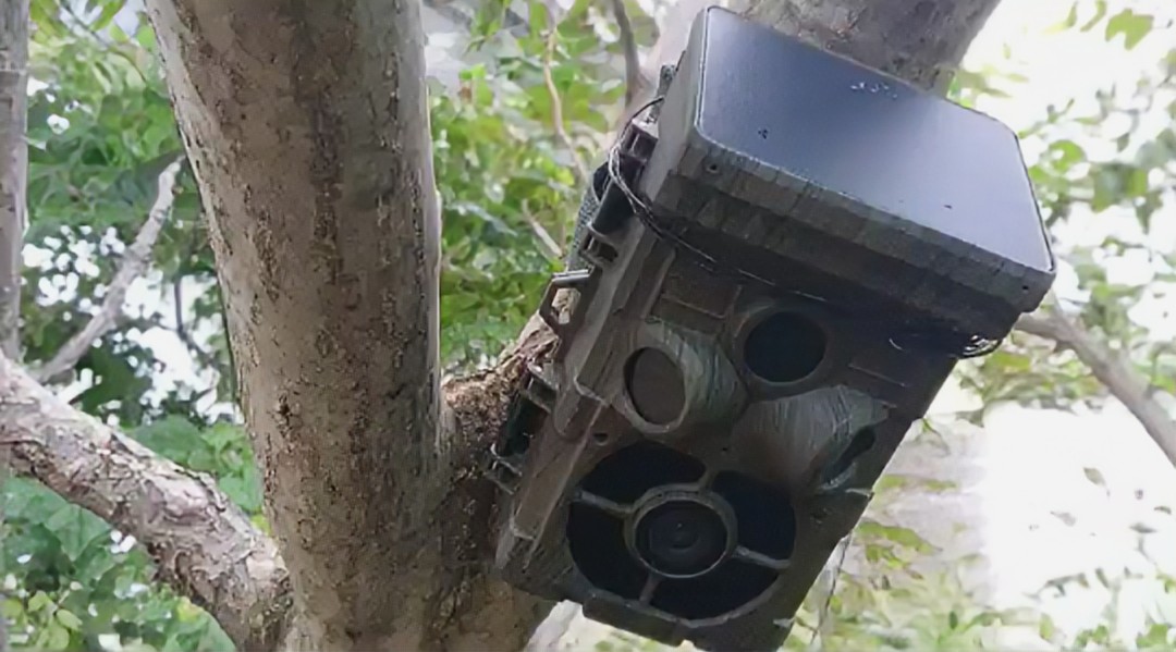 【重要】最近、地域猫の小屋が荒らされると言う投稿を何度か見ました。
カメラです！必ずソーラー付きトレイルカメラ設置！
近い場所なら設置お手伝いにいけます！連絡下さい！
自分は各地域猫エリアにカメラつけてます。悪戯など証拠おさえ警察に提出したこともあります！
#防犯カメラ #地域猫