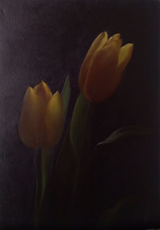 寺井達哉 tweet media