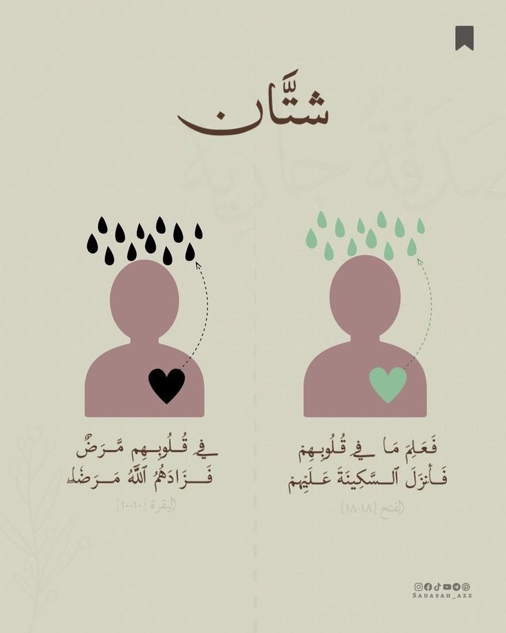 أصبحنا وأصبح الملك لله رب العالمين