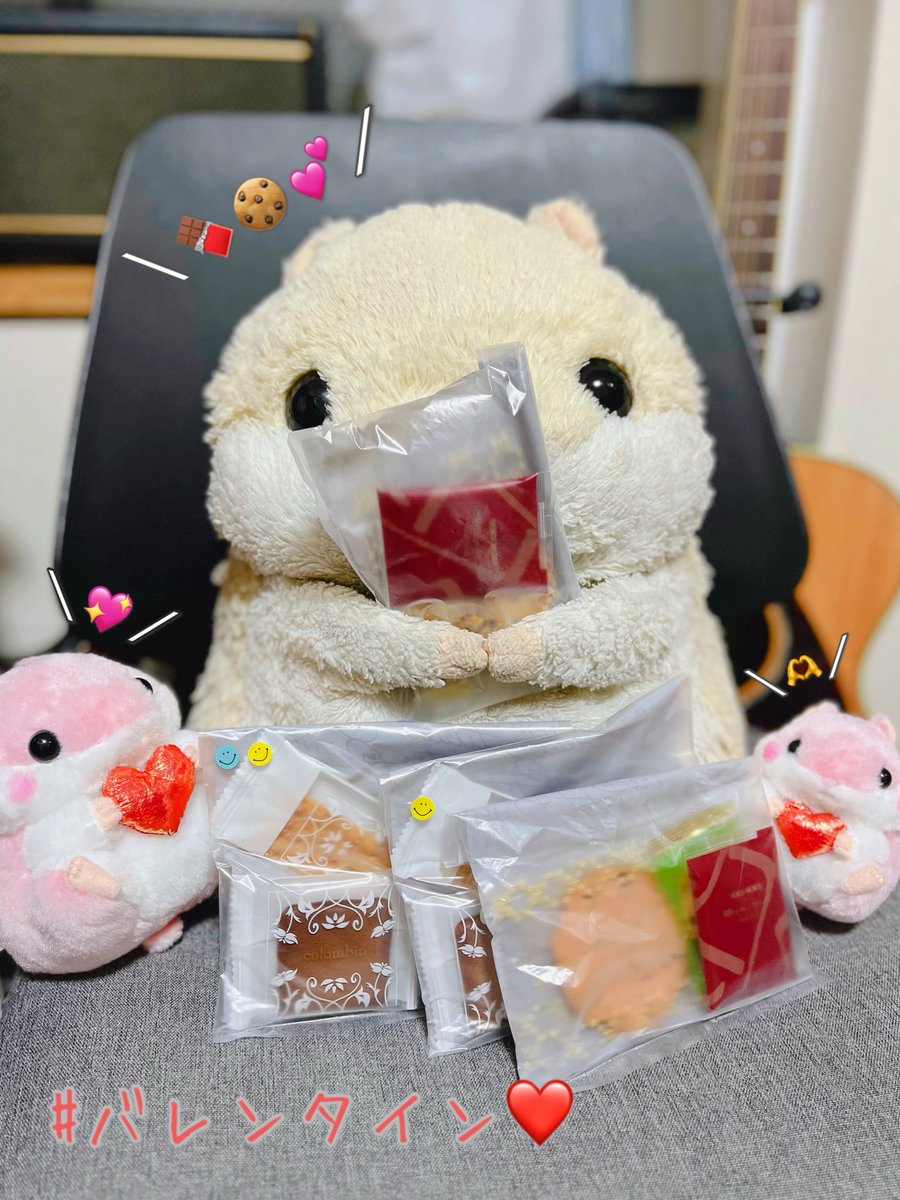 はむまる (@hamumaru_86) / Posts / X