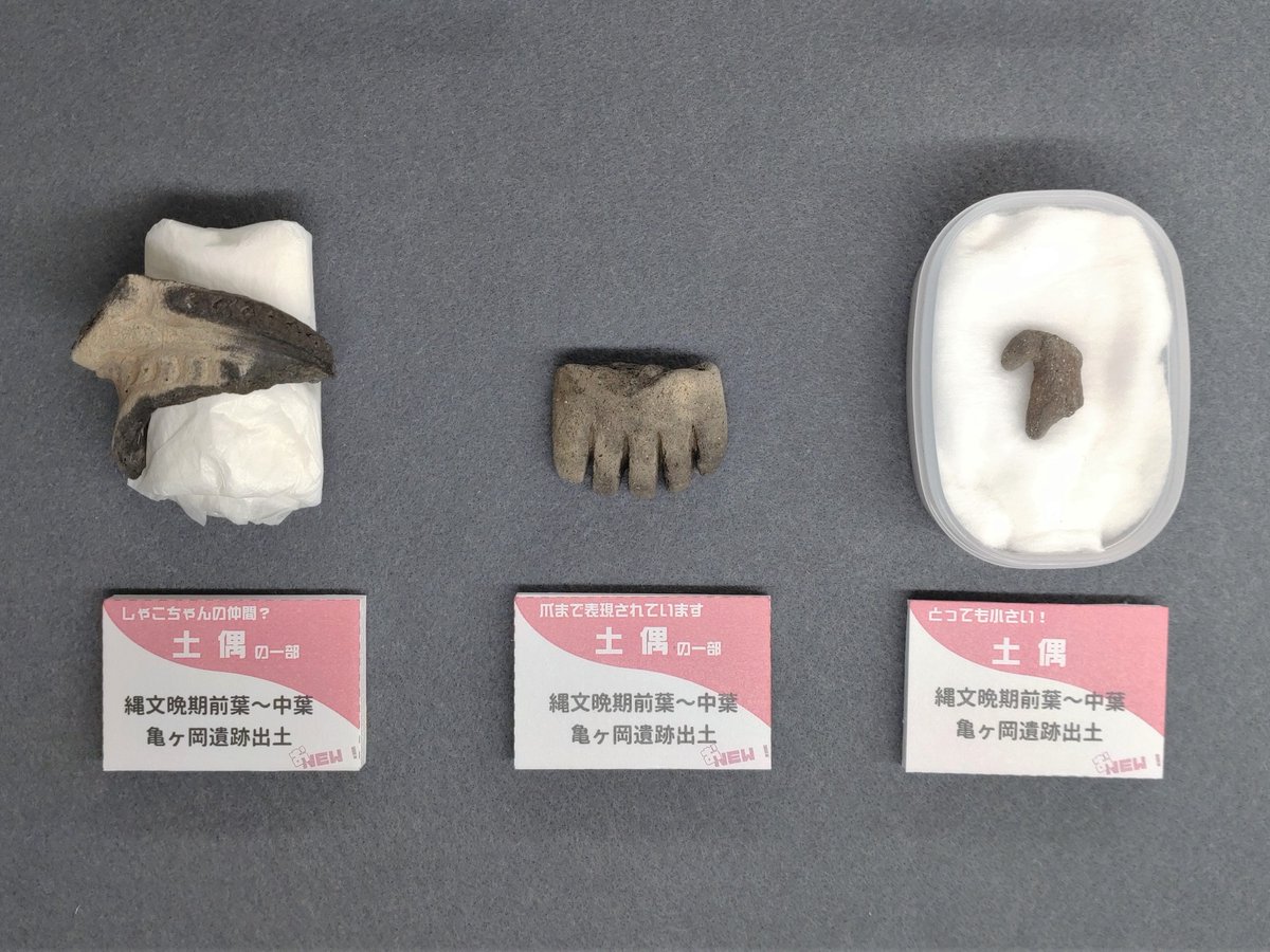 亀ヶ岡石器時代遺跡は2021年に発掘調査したよ📢

台地の上を掘ったら、縄文人のお墓がいっぱい💐
目印になる石が置かれたお墓とかも見つかってるよ⛰
今回の調査で、お墓のエリアがもっと広がることがわかったんだ💮

お墓の近くから見つかった土偶たちも展示中🕶✨
足の爪まで表現されててスゴイね👣