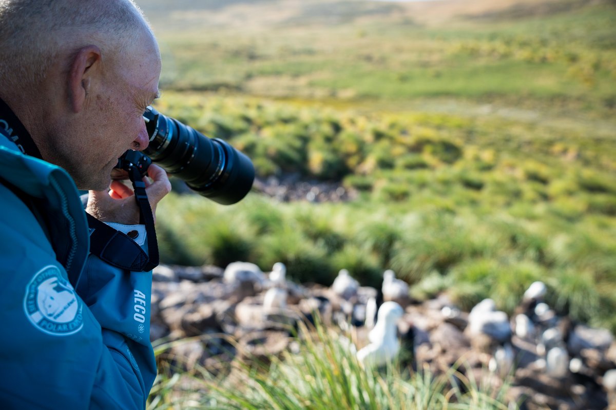 Swan Hellenic tweet media