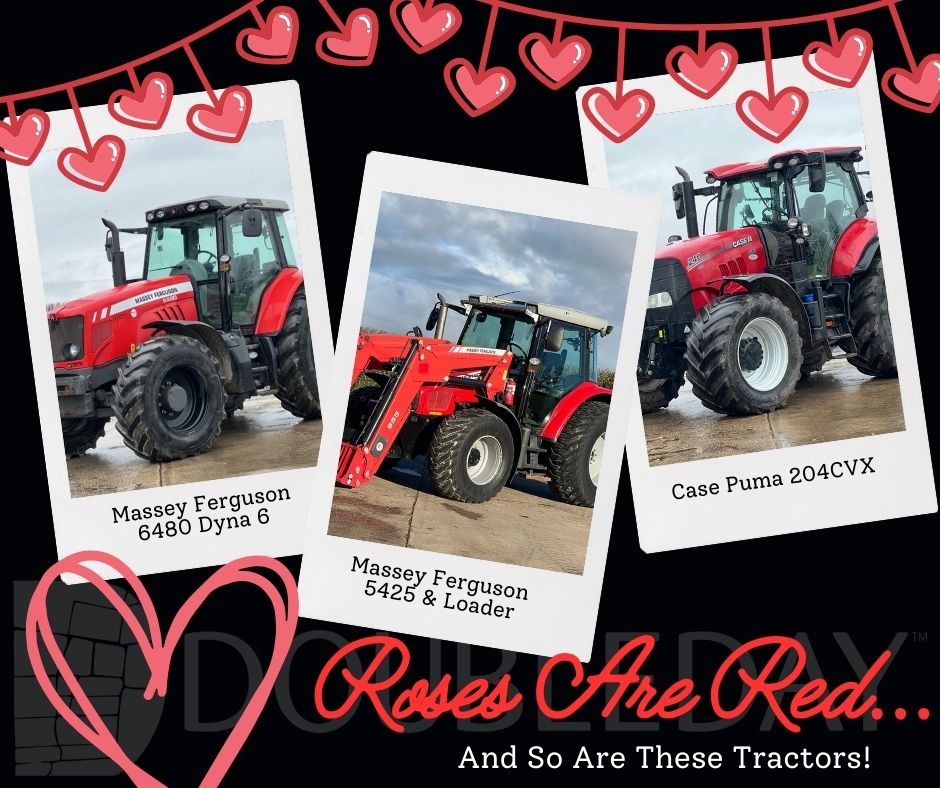 Doubleday Group tweet media