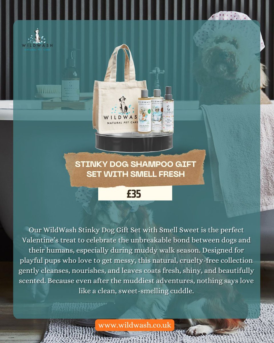 WildWash tweet media