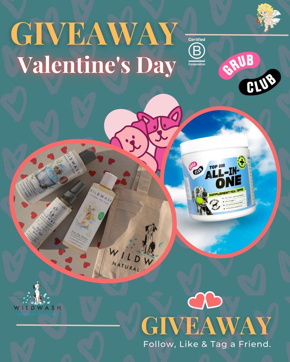 WildWash tweet media