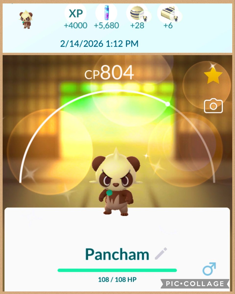ദി˶ᕑᗢᓫ)✧ ĢőőÐ !! 🐼✨
#ShinyPancham
#PokemonGO🧢🫶🏻