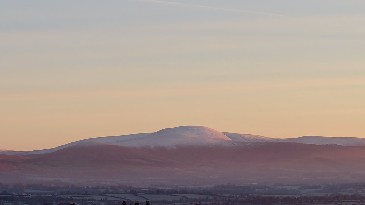 Carlow Weather tweet media