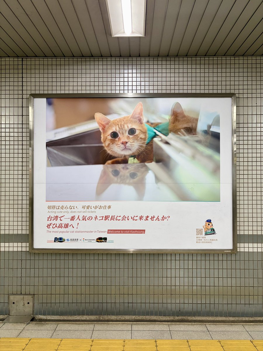 「切符は売らない、可愛いがお仕事」

高雄駅猫駅長🐈