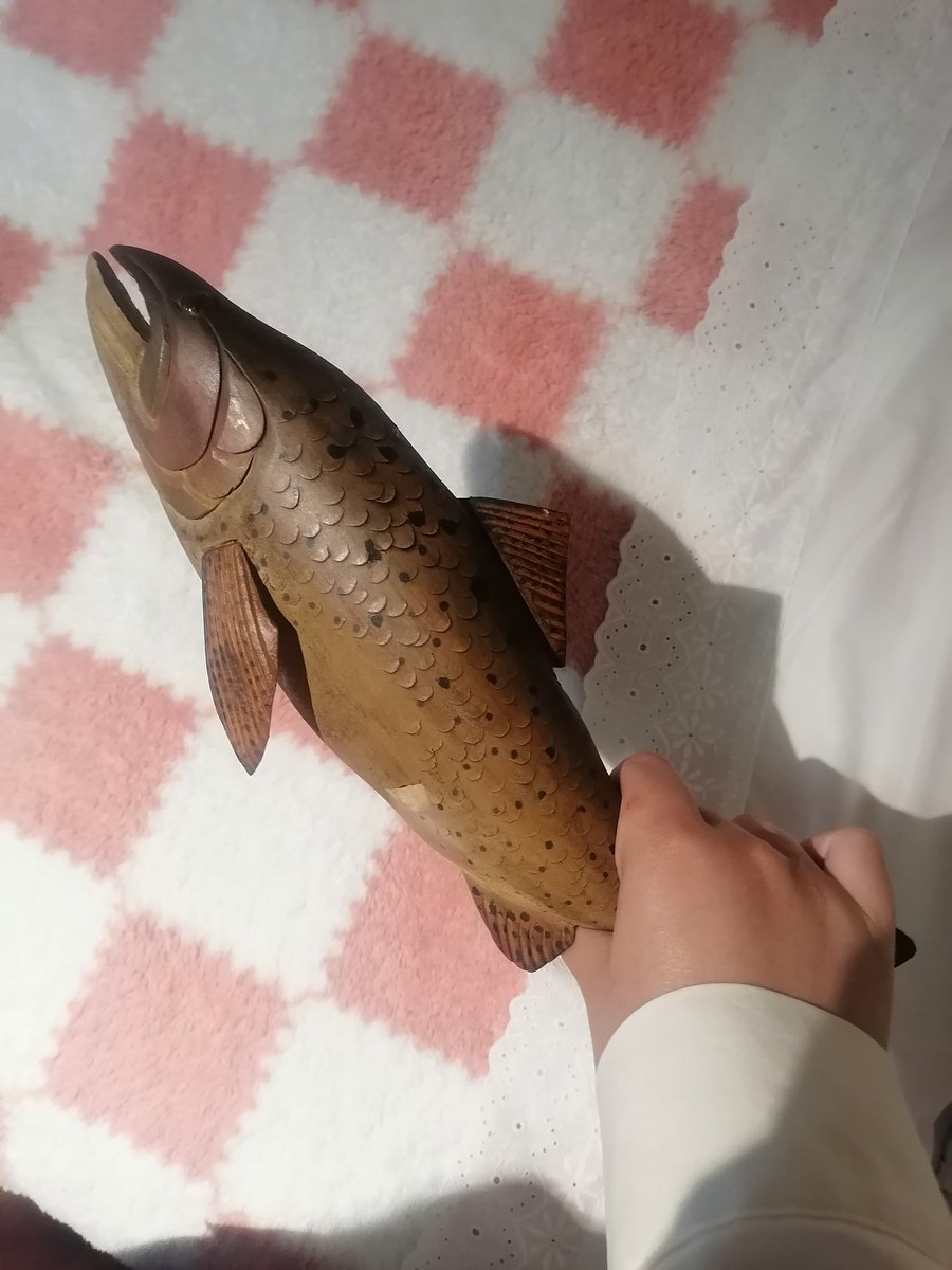 umiraclette's tweet photo. I always get scared by my wooden fish on my bed but its Ok i need a weapon to defend myself https://t.co/s5lH4gDgN7