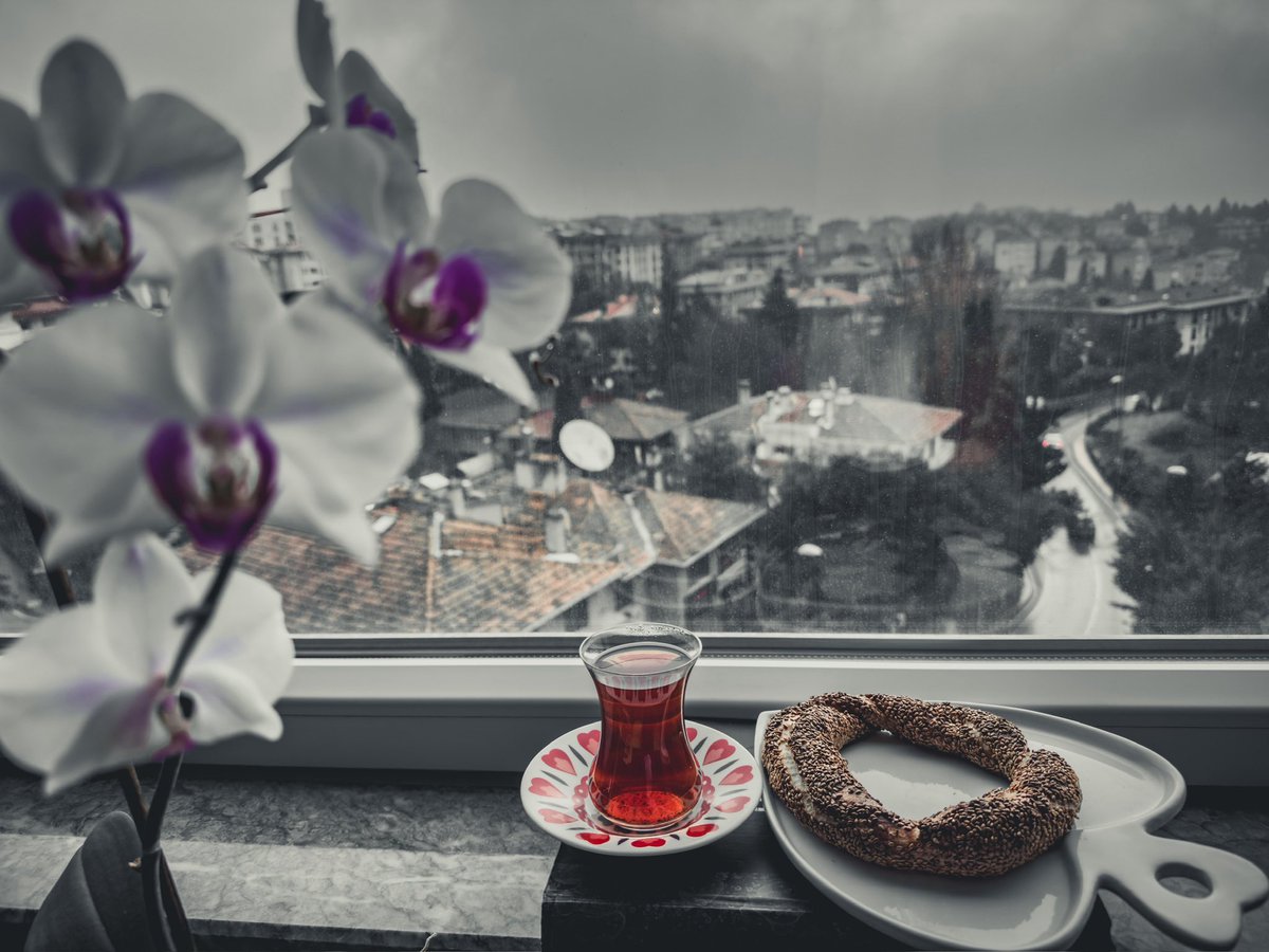 Gri bir İstanbul sabahı;
Yalnızlık, özlem ve gitmelerin başkenti bu şehir
Çaylar, simitler, pencere önü çiçekler yaren olmuşlar
Üstelik sevda günü yapmışlar bu günü!
İçimizde kocaman sevdalar her günken

Eyvallah…🍀