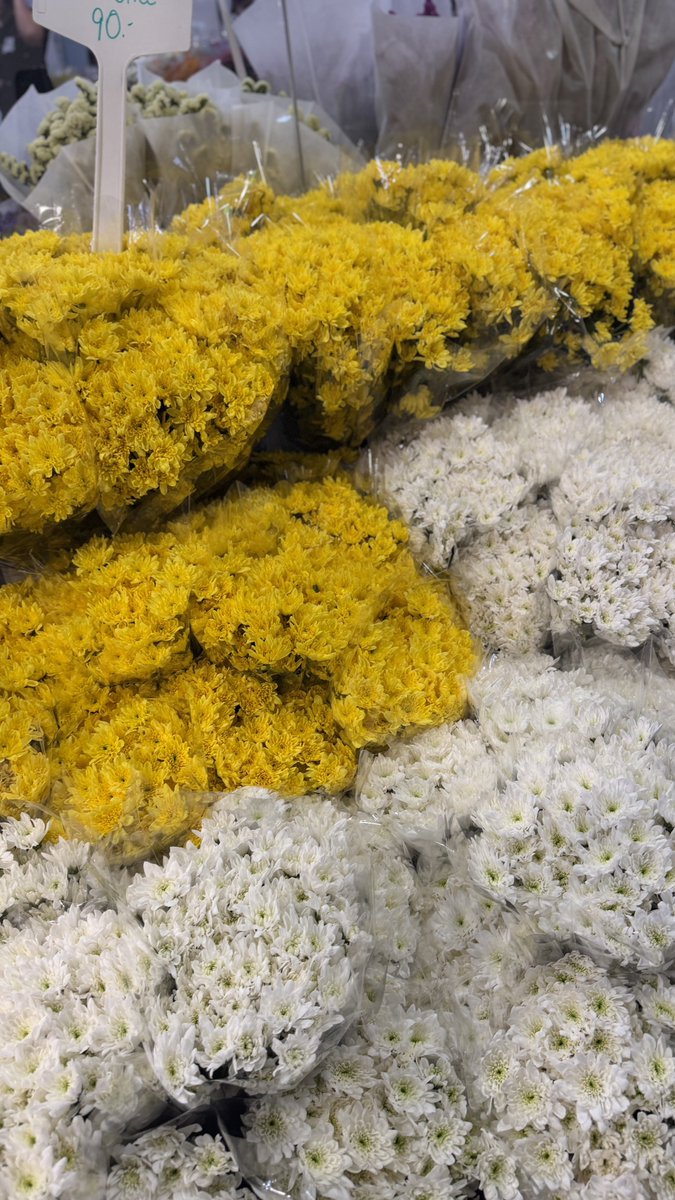 llsirilakkk's tweet image. 꽃시장 무삥이 진짜 미쳣었음(p