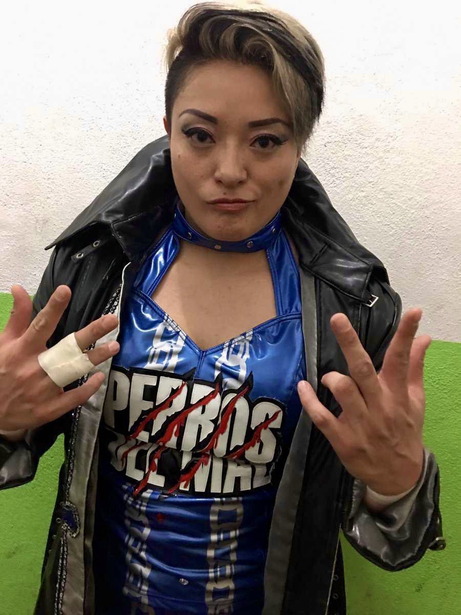 Chupacabra tweet media