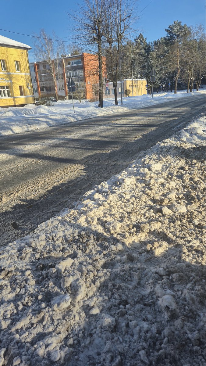 SvetLana tweet media