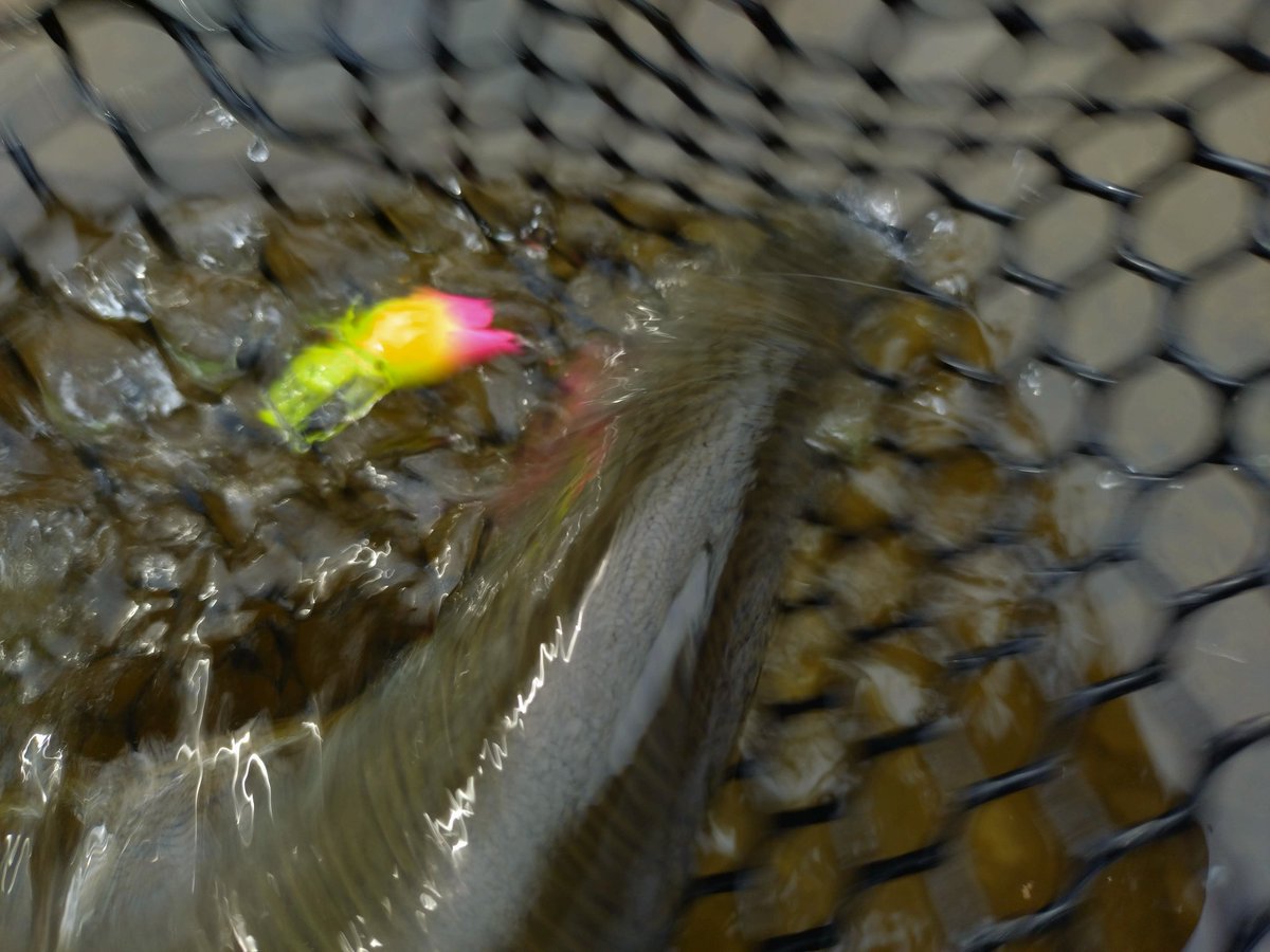 なおき tweet media