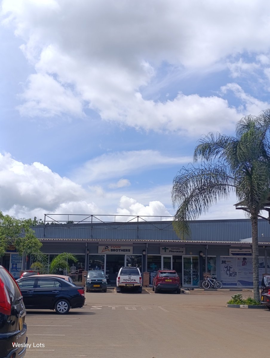 Bambo A Tereza 🇲🇼 tweet media