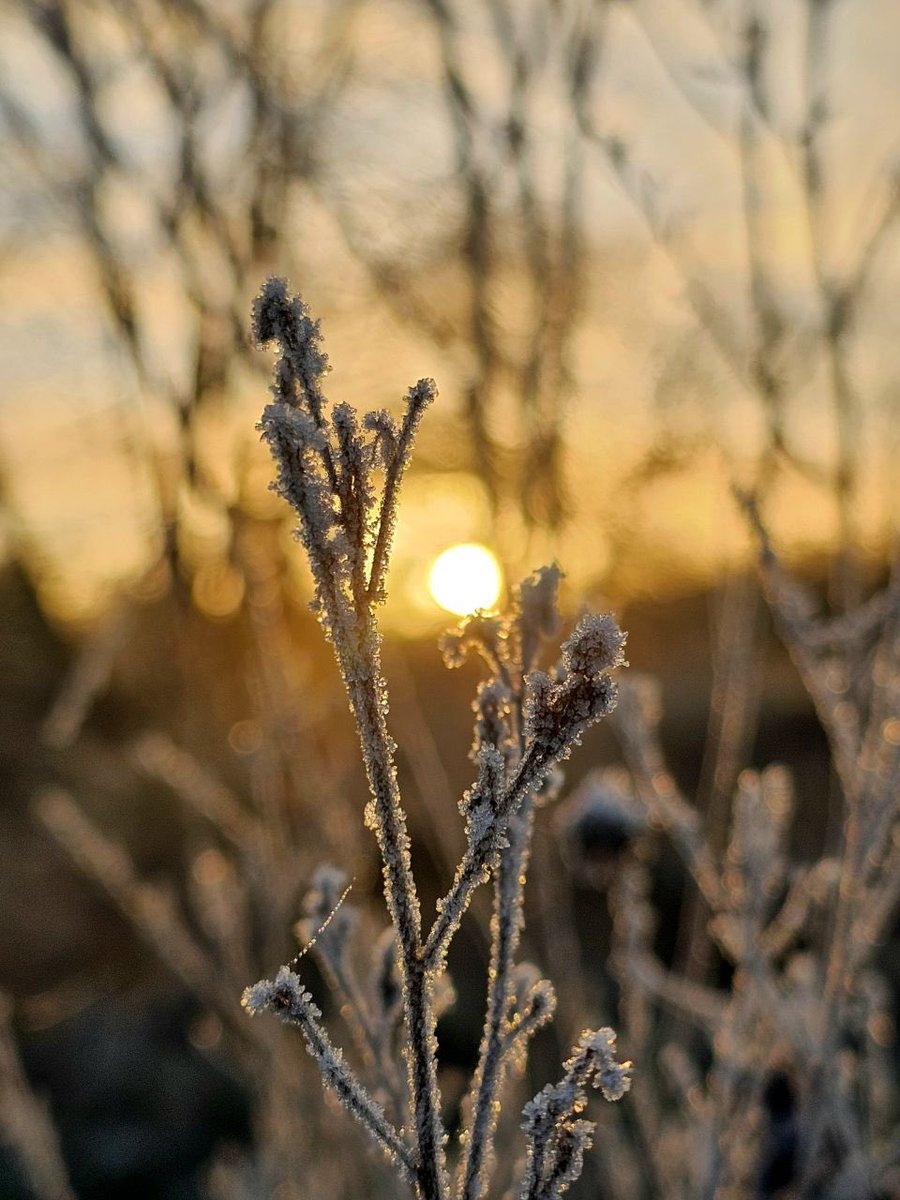 الوصل بك يالطيّف الروُح يُحييني . .

#يخبرني_الصباح 
#صباح_الخير