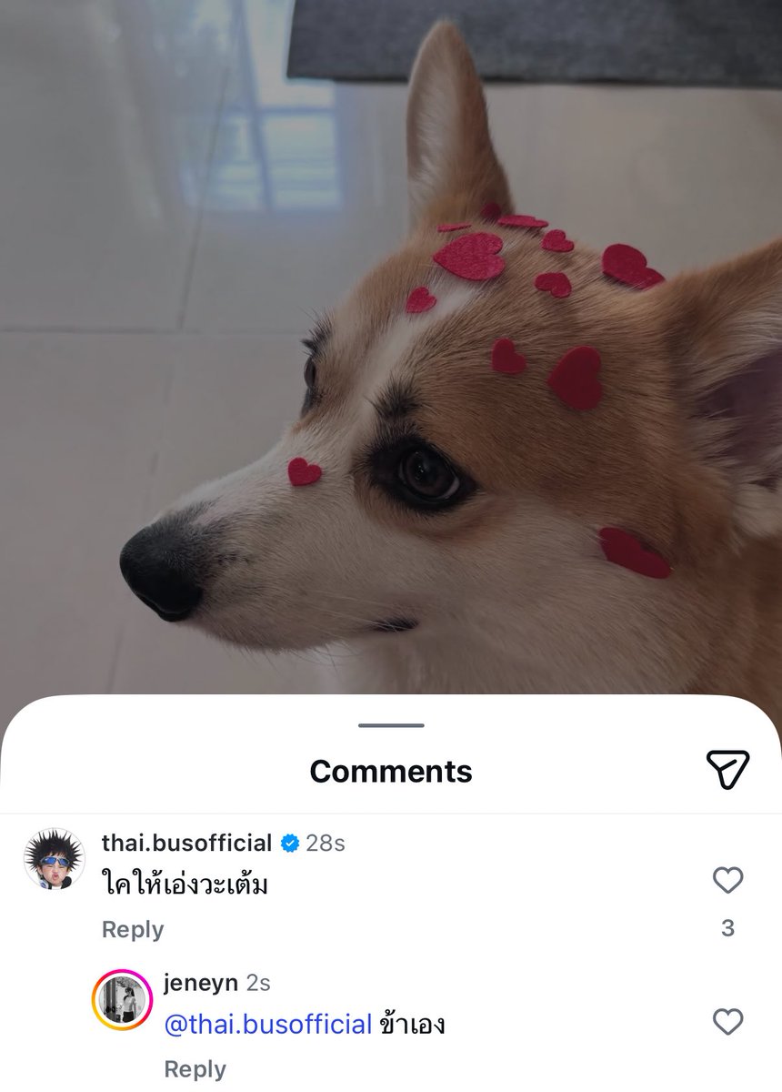 ไทย : ใครให้เอ่งวะเต้ม
เจ้จีน : ข้าเอง555555555555555