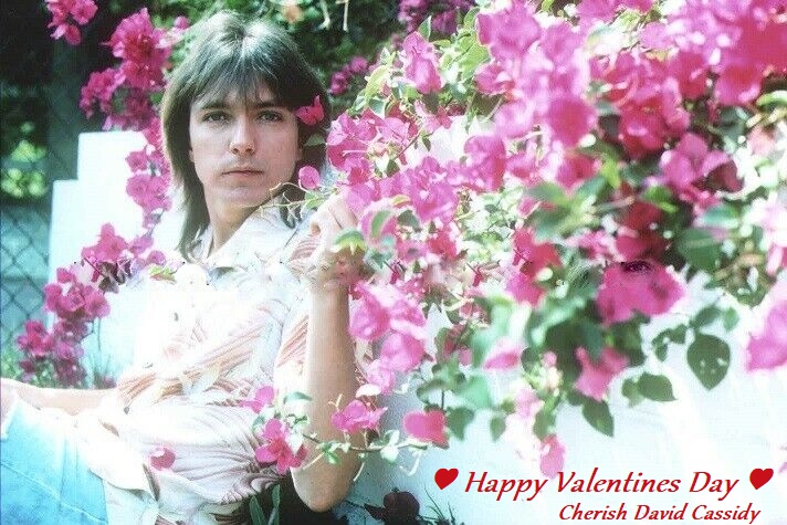 #CherishDavidCassidy tweet media