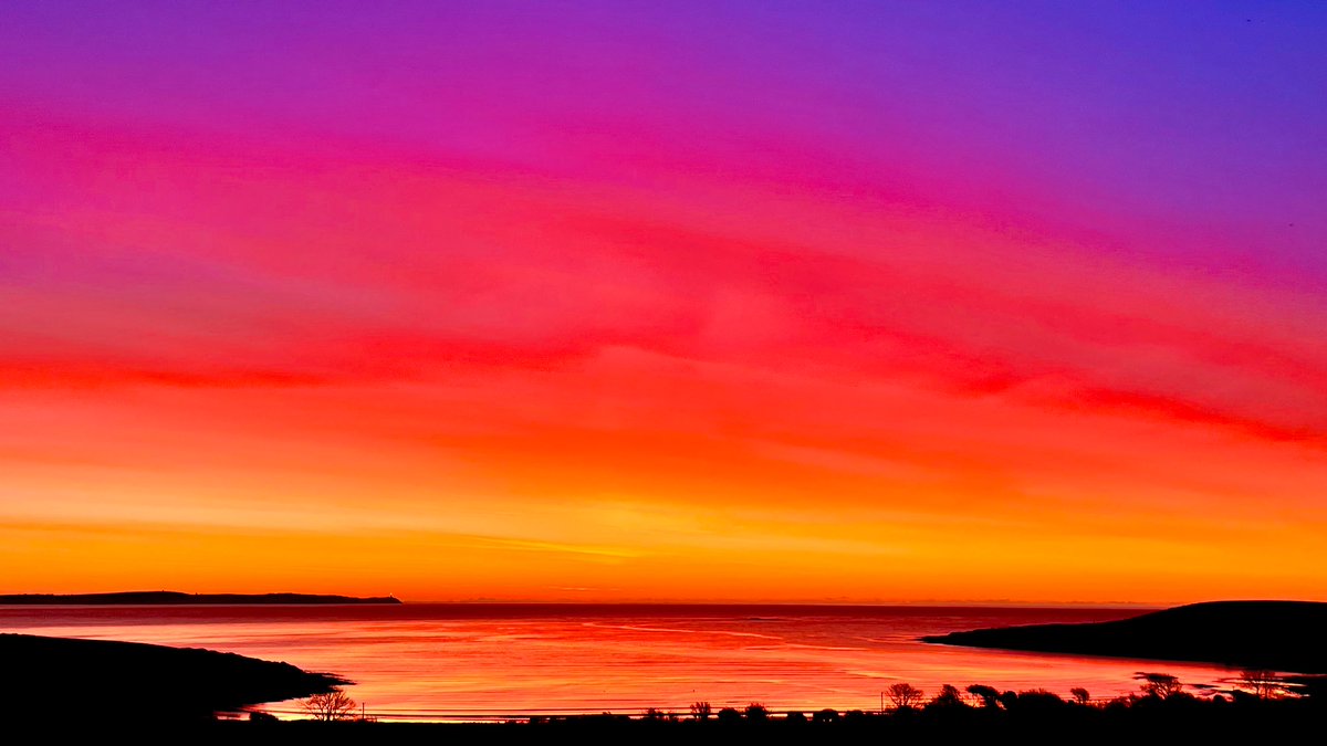 Alan Mac Cárthaigh 🇮🇪 tweet media