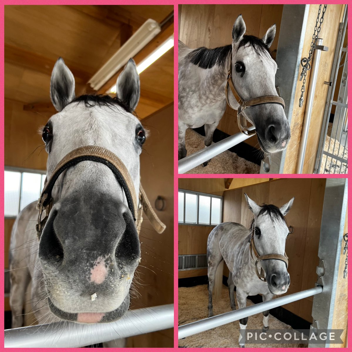 Take-chan tweet media