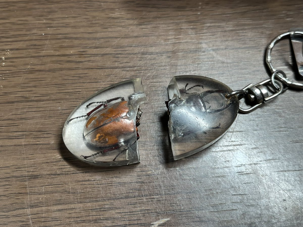 𝑆𝐼𝐴𝑁 (@SIAN_FKP_37) / Posts / X