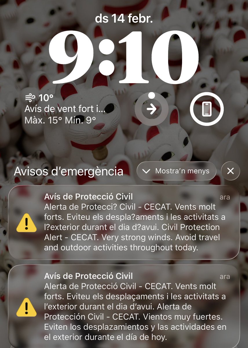 Laia Solanellas 🪐 tweet media