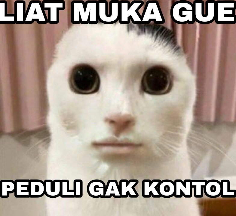 Halik Take tweet media