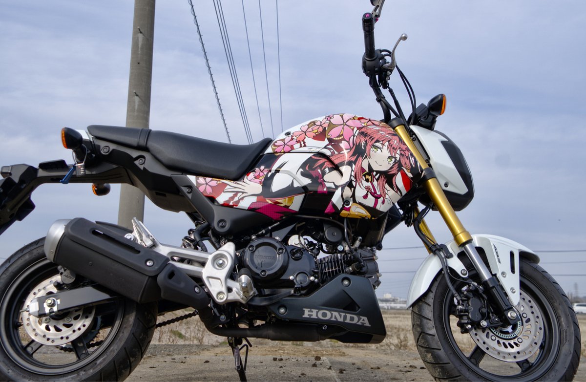 りの🌸☄️🐸 tweet media