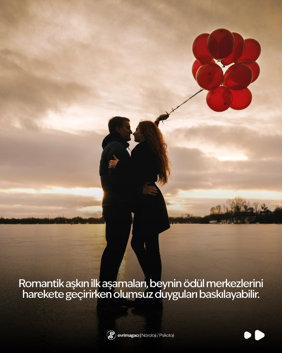 Evrim Ağacı tweet media