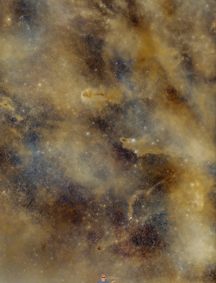 mwilsonastro's tweet photo. The Shark, Rotten Fish and Wolf’s Cave nebulas version 2
#cepheus #sharknebula #LDN1235 #milkyway #astrophotography @skyatnightmag https://t.co/x9T9pDbwGV
