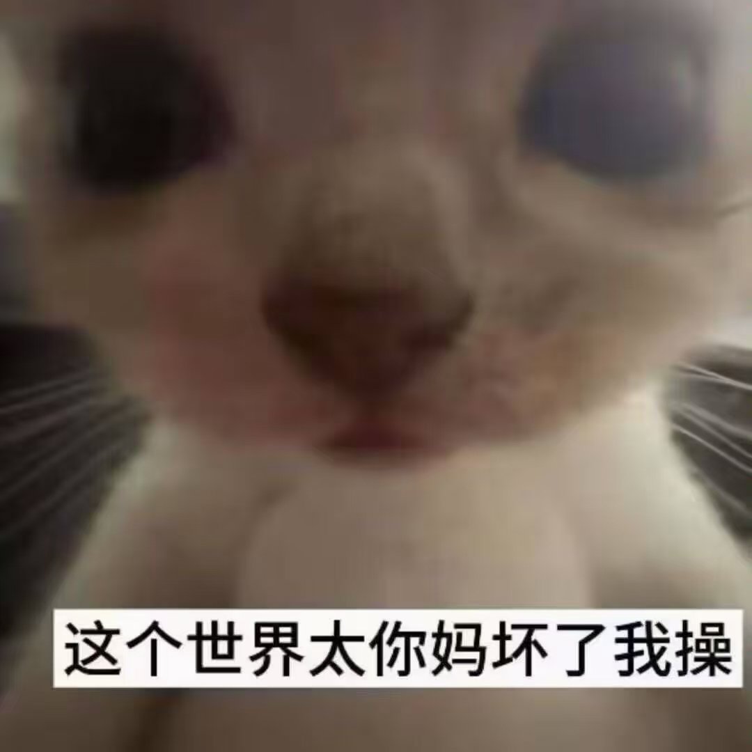 Musangma's tweet photo. 给我推一个靠谱的手卷烟商 也能卖耗材的最好 省得麻烦一站式购齐 https://t.co/ypE64MEdP4