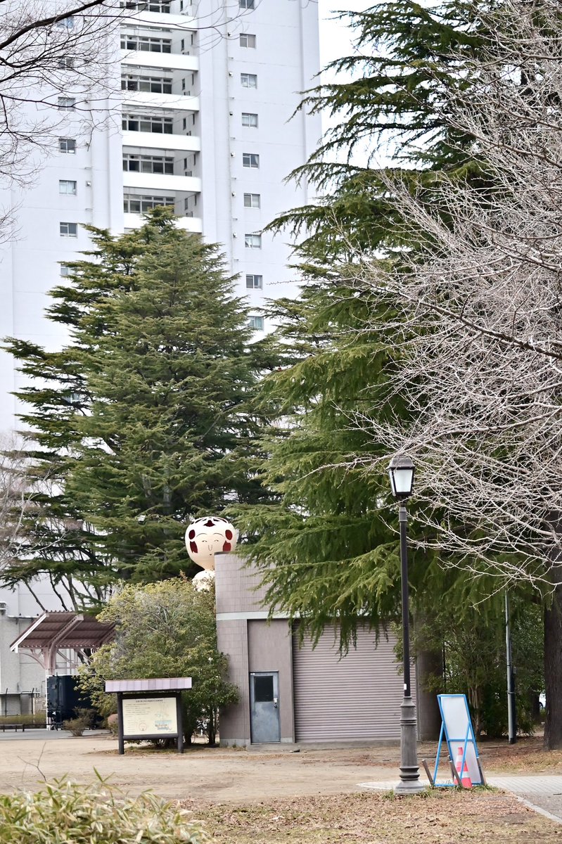 おるね(コケシが)

 #西公園