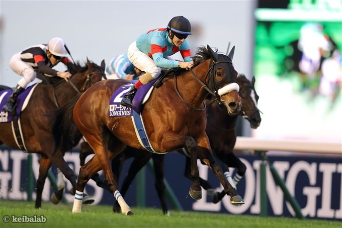 競馬ラボ tweet media