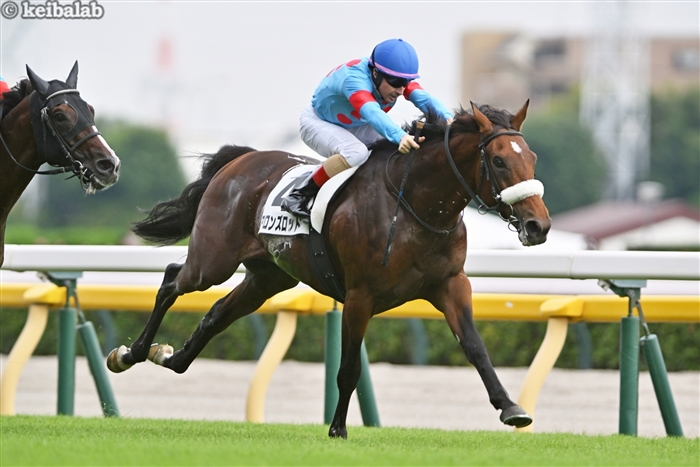 競馬ラボ tweet media