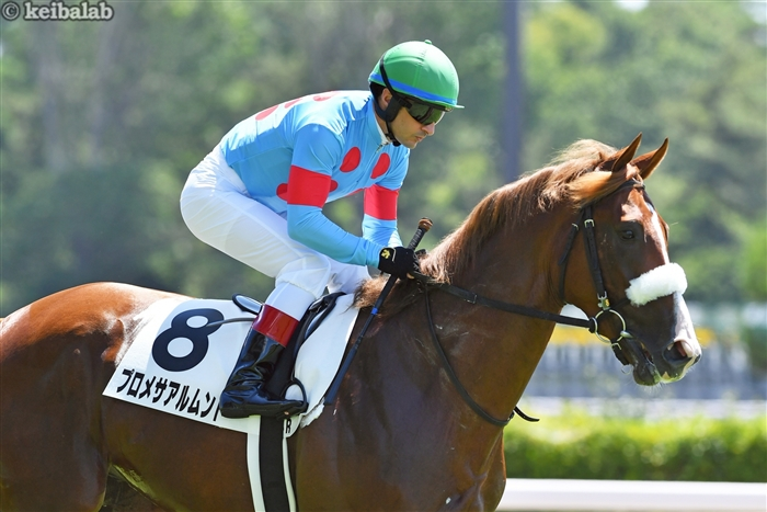 競馬ラボ tweet media