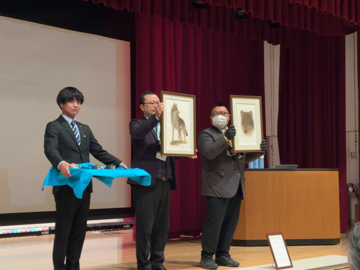 sagami_walker's tweet photo. 清川村で開催されたニホンオオカミの頭骨レプリカお披露目会に行ってきました🐺

丹沢一帯はオオカミへの信仰が盛んな地域だったそうです。特に「子供が夜泣きしている時に枕元にオオカミの頭骨を置く」風習が興味深かったです。
#清川村 #ニホンオオカミ #民俗 https://t.co/EBmfyHXhNA