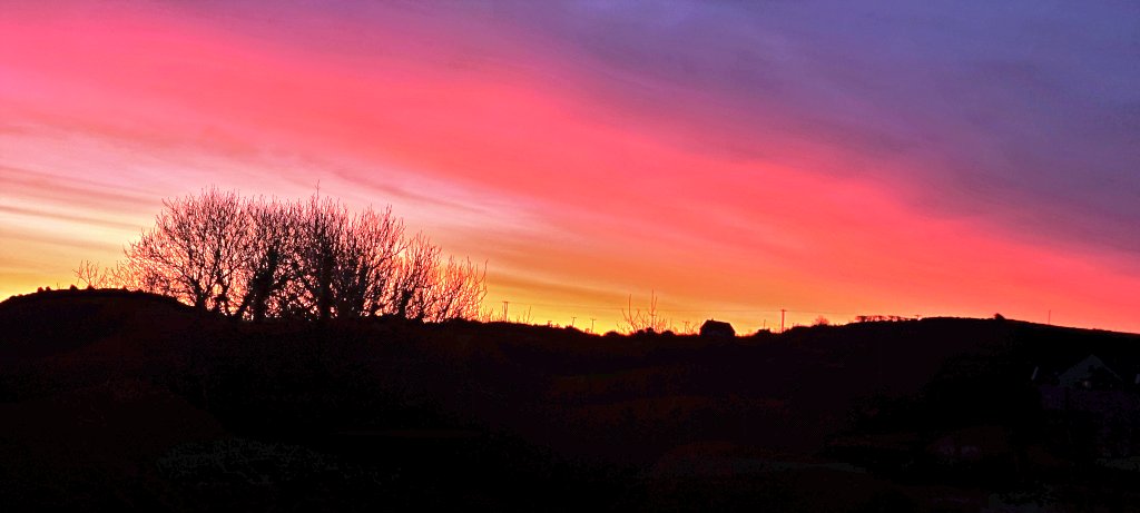 patrick o dwyer tweet media