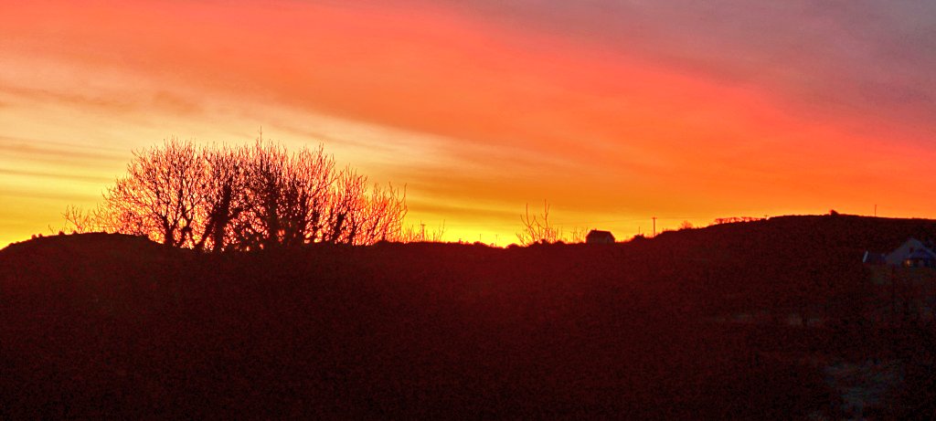 patrick o dwyer tweet media