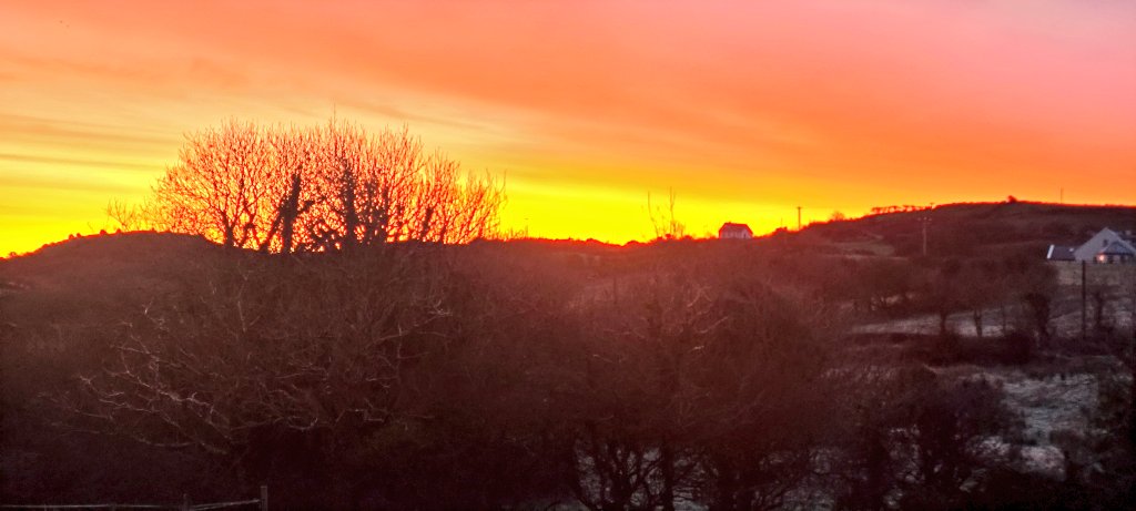 patrick o dwyer tweet media