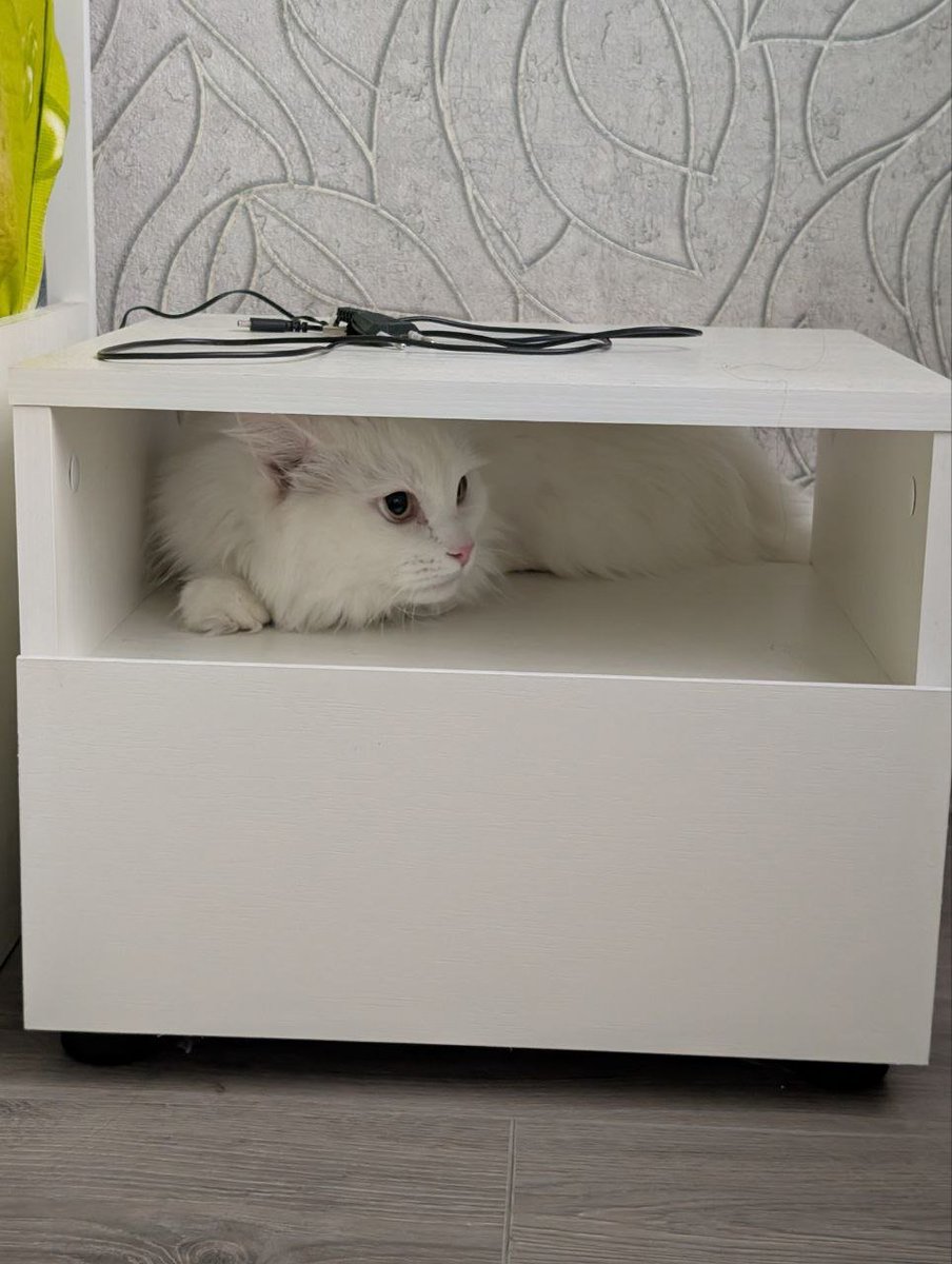 Timur Kagarmanov tweet media