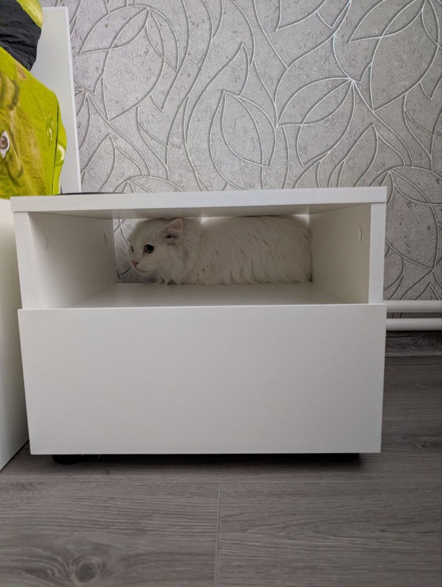 Timur Kagarmanov tweet media